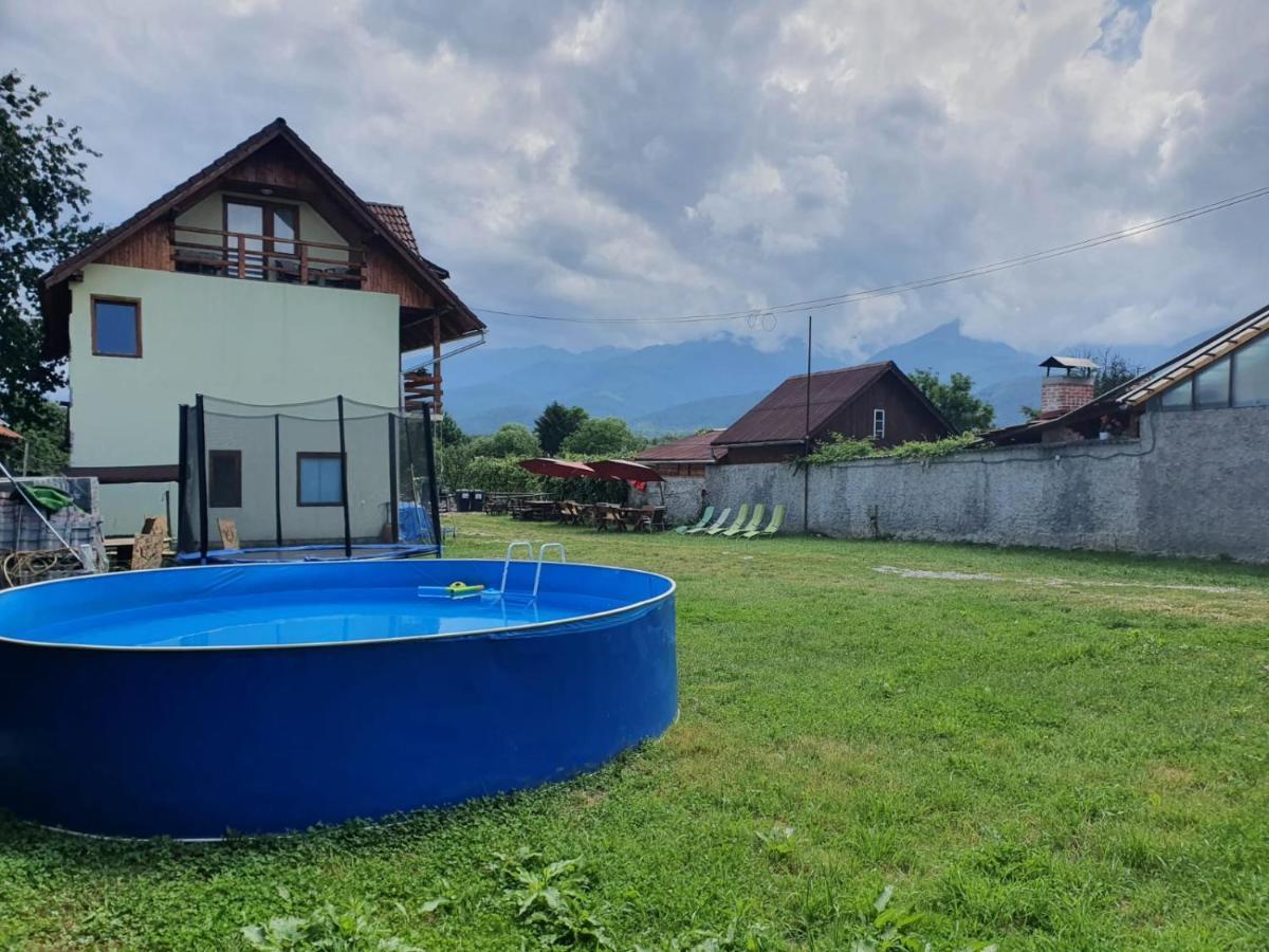 Pensiunea Leia Transfagarasan Cîrţişoara Esterno foto