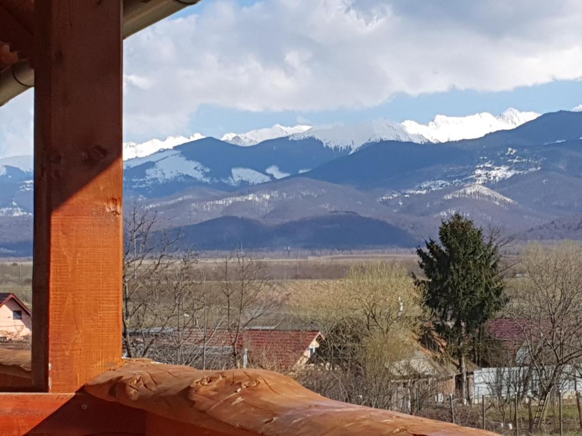 Pensiunea Leia Transfagarasan Cîrţişoara Esterno foto