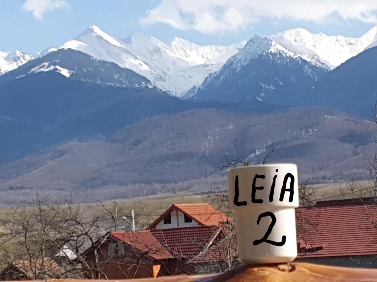 Pensiunea Leia Transfagarasan Cîrţişoara Esterno foto