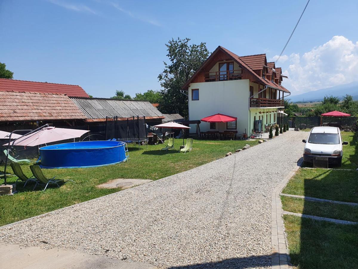 Pensiunea Leia Transfagarasan Cîrţişoara Esterno foto